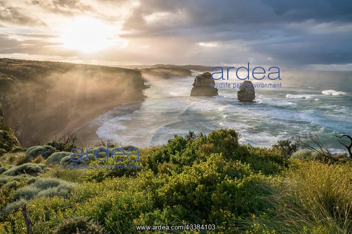 : Twelve Apostles, Australia, Oceania : Twelve Apostles, Australia, Oceania