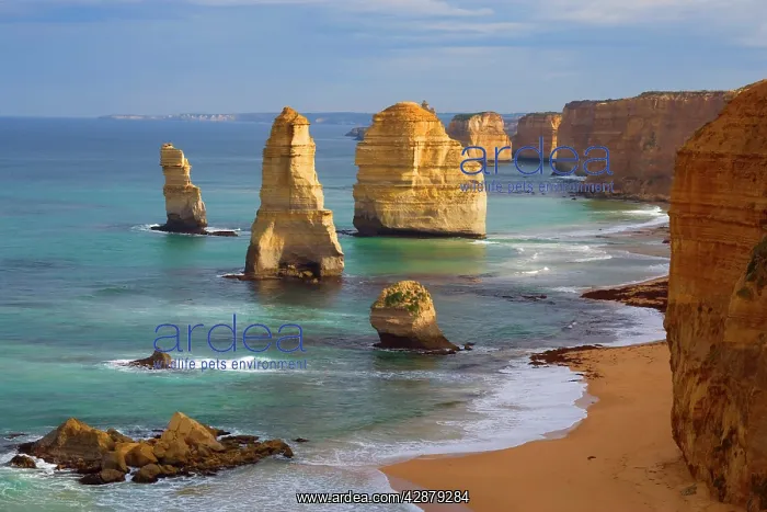 : Twelve Apostles - morning at the sandstone rock formations : Twelve Apostles - morning at the sandstone rock formations