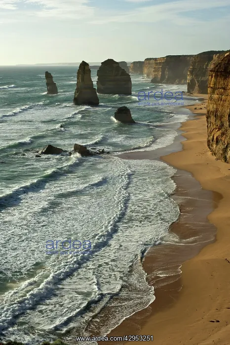 : Twelve Apostles - Port Campbell National Park : Twelve Apostles - Port Campbell National Park