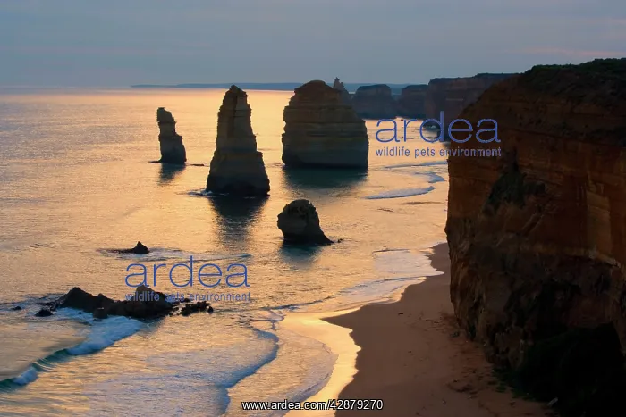 : Twelve Apostles sunset - setting sun over the sandstone : Twelve Apostles sunset - setting sun over the sandstone