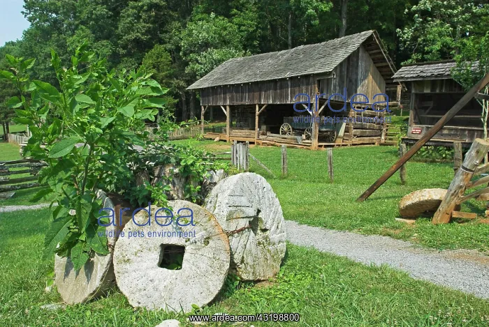 : Appalachian Museum in Tennessee, USA, North America : Appalachian Museum in Tennessee, USA, North America