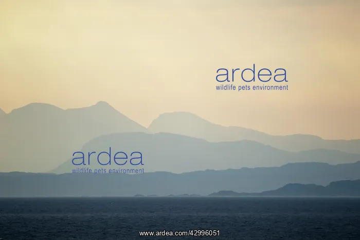 : Applecross hills from Trotternish Peninsular : Applecross hills from Trotternish Peninsular