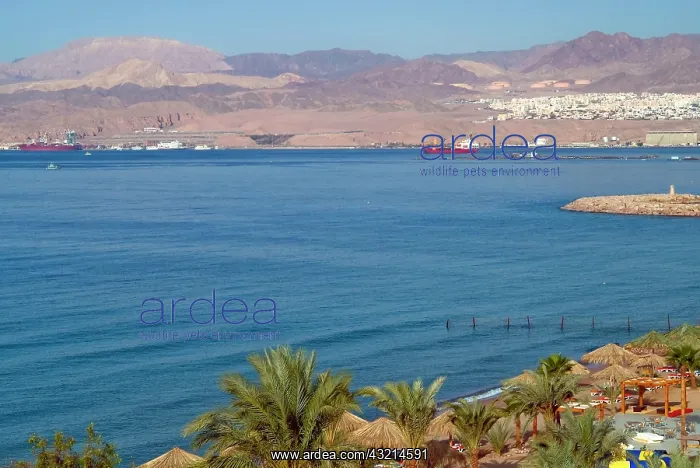 : Aqaba Harbor, Aqaba, Jordan : Aqaba Harbor, Aqaba, Jordan