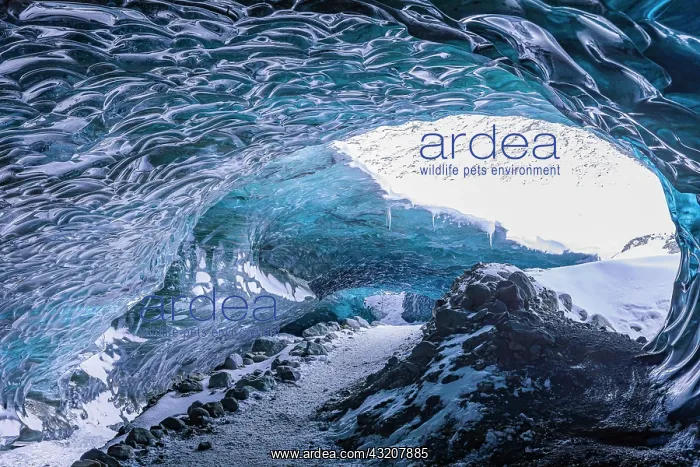 : Aquamarine-coloured ice combs at the entrance to : Aquamarine-coloured ice combs at the entrance to