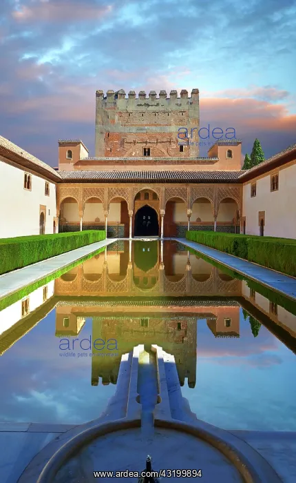 : Arabesque Moorish architecture and pond of the Court : Arabesque Moorish architecture and pond of the Court