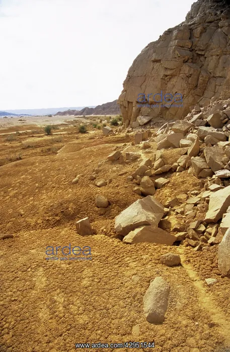 : Arabian Desert - rocks and sand : Arabian Desert - rocks and sand