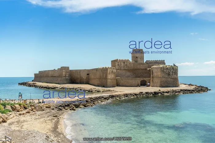 : Aragon fortress, Fortezza Aragonese, Le Castella : Aragon fortress, Fortezza Aragonese, Le Castella