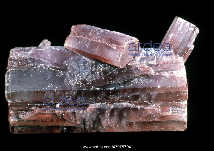 : Aragonite crystals from Spain : Aragonite crystals from Spain