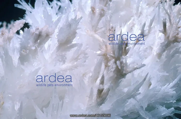: Aragonite crystals from Bisbee, Arizona : Aragonite crystals from Bisbee, Arizona