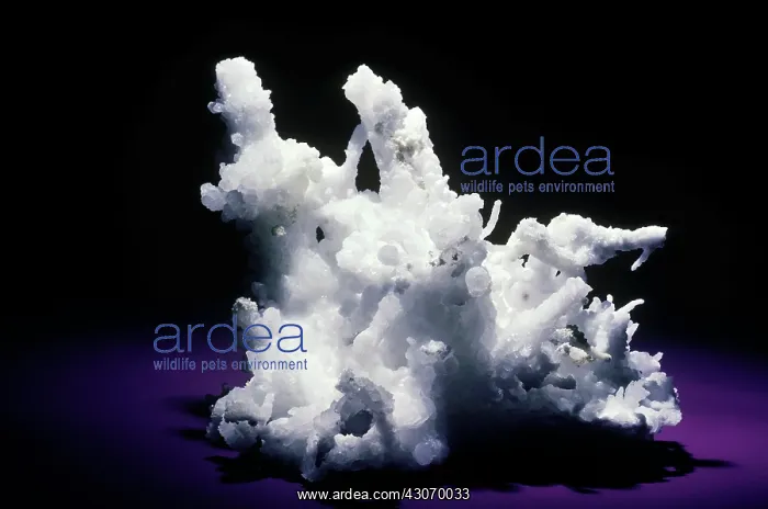 : Aragonite from Mexico : Aragonite from Mexico