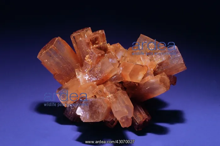 : Aragonite from Tazouta, Morocco : Aragonite from Tazouta, Morocco
