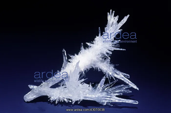 : Aragonite from Tintic, Utah : Aragonite from Tintic, Utah