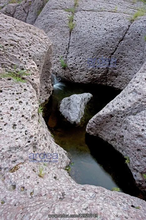 : Aravaipa Canyon Wilderness - Boulders in creek : Aravaipa Canyon Wilderness - Boulders in creek
