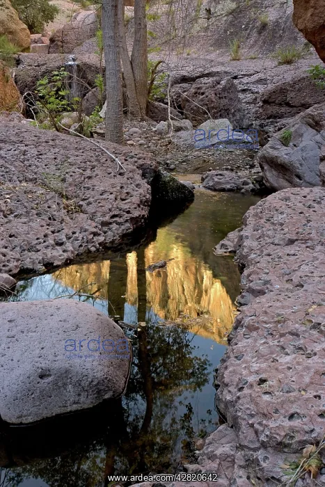 : Aravaipa Canyon Wilderness - reflection of cliffs : Aravaipa Canyon Wilderness - reflection of cliffs