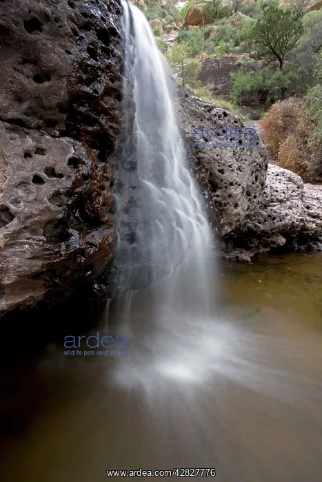 : Aravaipa Canyon Wilderness - Waterfall and pool : Aravaipa Canyon Wilderness - Waterfall and pool