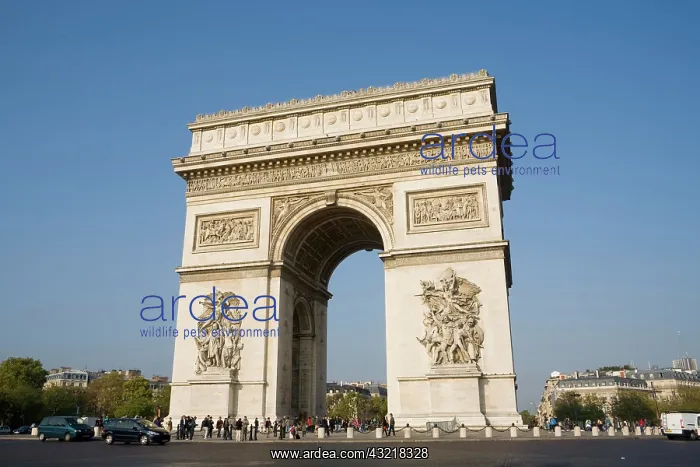 : Arc de Triomphe, Place Charles de Gaulle, Paris : Arc de Triomphe, Place Charles de Gaulle, Paris