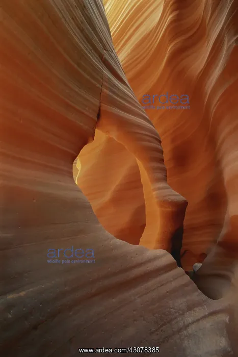 : Arch Canyon, Arizona : Arch Canyon, Arizona