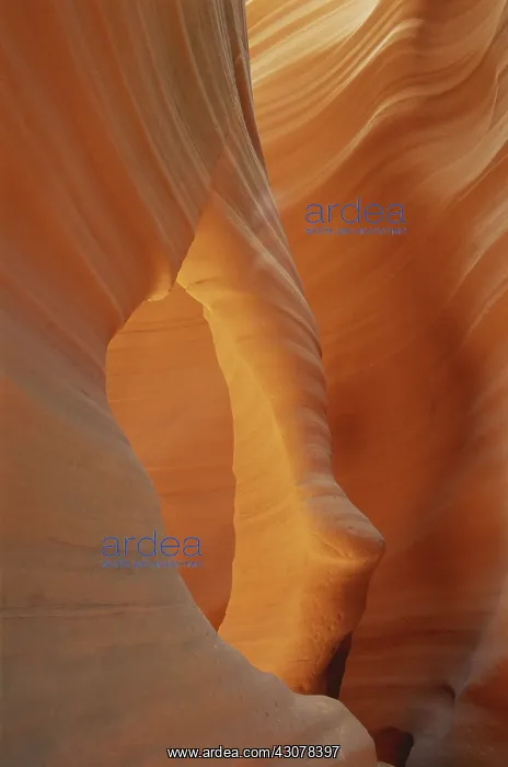 : Arch Canyon, Arizona : Arch Canyon, Arizona