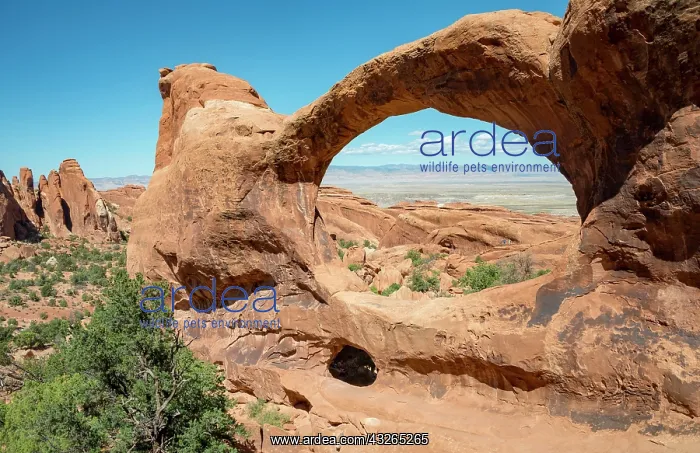 : Arch Double O Arch, Devils Garden, Arches National : Arch Double O Arch, Devils Garden, Arches National