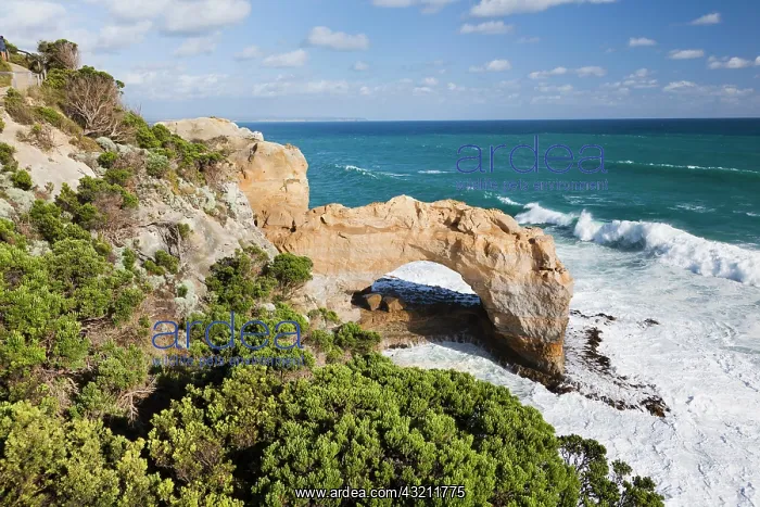 : The Arch, Great Ocean Road, Australia, in : The Arch, Great Ocean Road, Australia, in