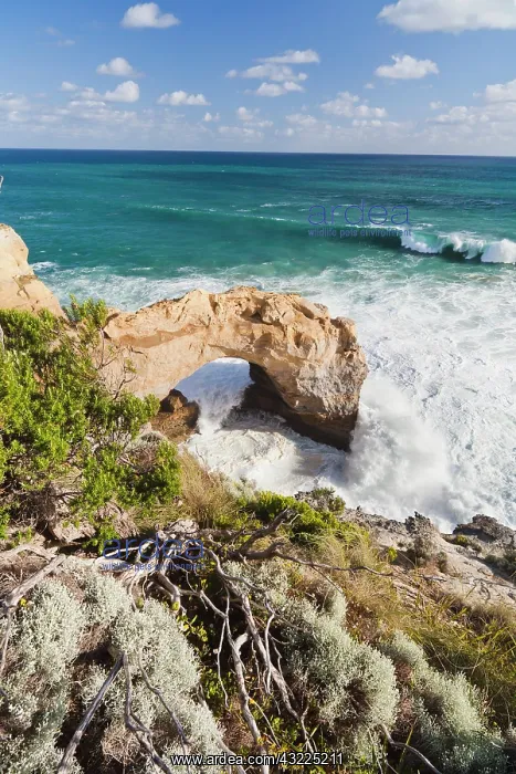 : The Arch, Great Ocean Road, Australia, in : The Arch, Great Ocean Road, Australia, in