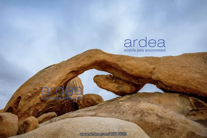 : Arch Rock, Rock Arc, Monzogranite Formation, Arch : Arch Rock, Rock Arc, Monzogranite Formation, Arch