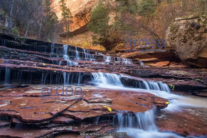 : Archangel cascades in the Left Fork of the : Archangel cascades in the Left Fork of the