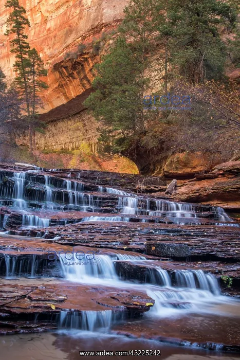 : Archangel cascades in the Left Fork of the : Archangel cascades in the Left Fork of the