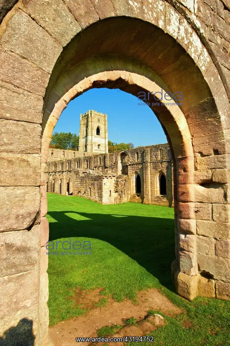 : Arched doorway into Fountains Abbey, founded in : Arched doorway into Fountains Abbey, founded in