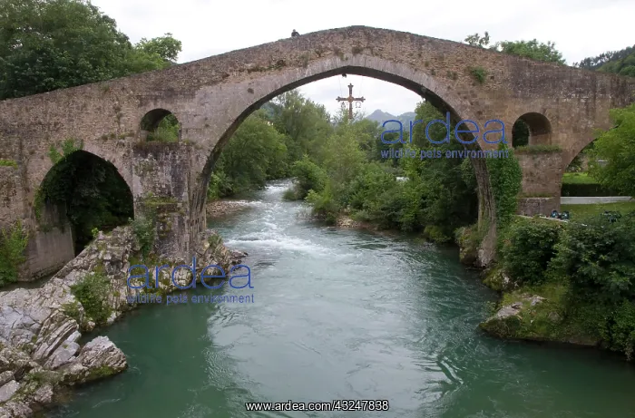 : Arched Roman Bridge spanning the Sella River : Arched Roman Bridge spanning the Sella River