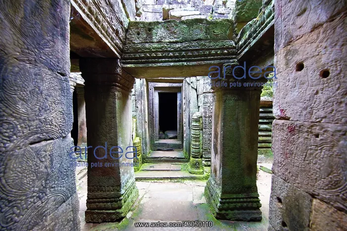 : Arched walkways and pillars in the ruins of the Bayon Kh : Arched walkways and pillars in the ruins of the Bayon Kh