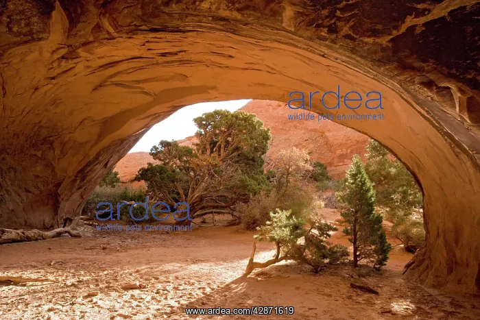 : Arches National Park : Arches National Park