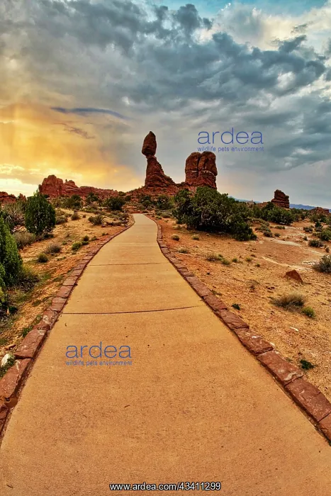 : Arches National Park evening light. USA, Utah : Arches National Park evening light. USA, Utah