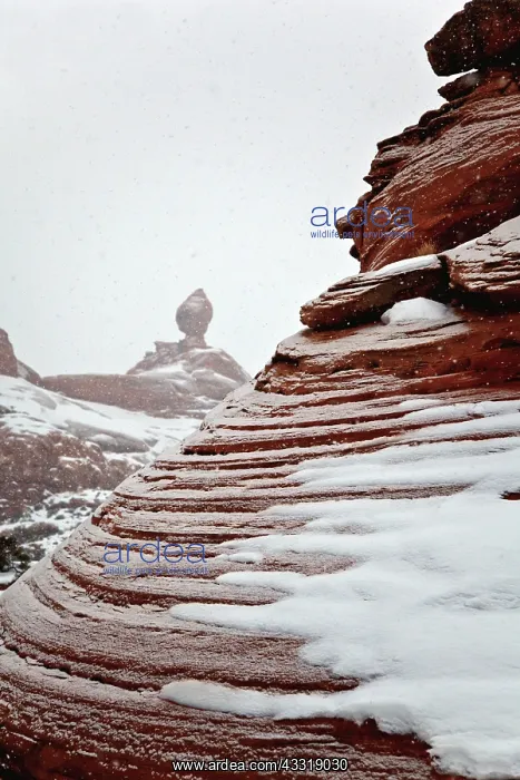 : Arches National Park, Utah : Arches National Park, Utah