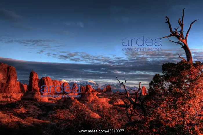  : Arches National Park, Utah