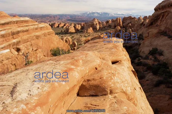 : Arches National Park, Utah: General view in the : Arches National Park, Utah: General view in the