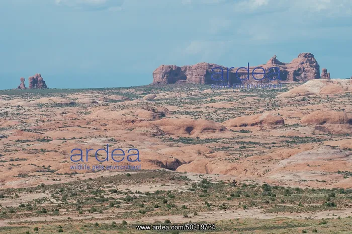  : Detail of Arches national park, Utah, USA