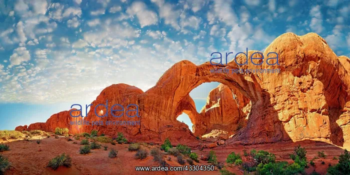 : Arches Nationalpark, Moab, Utah, USA : Arches Nationalpark, Moab, Utah, USA