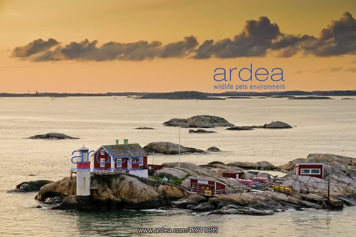 : Archipelago island with lighthouse near Gothenburg : Archipelago island with lighthouse near Gothenburg