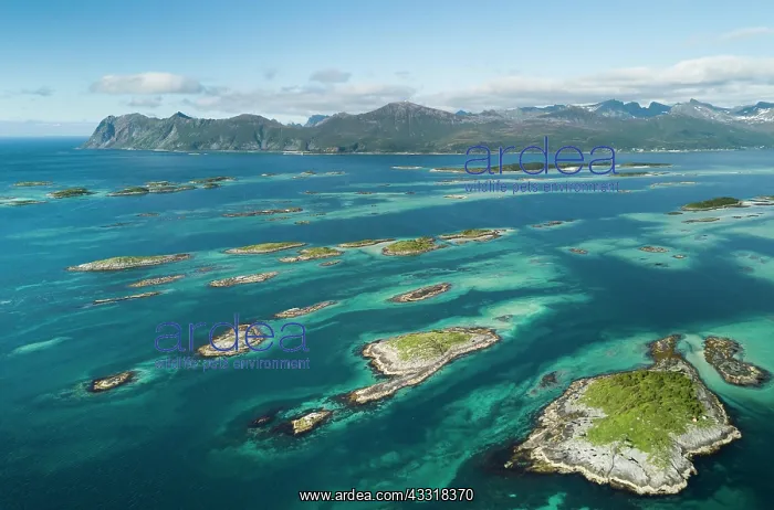 : Archipelago, small rocky islands from the ice age : Archipelago, small rocky islands from the ice age