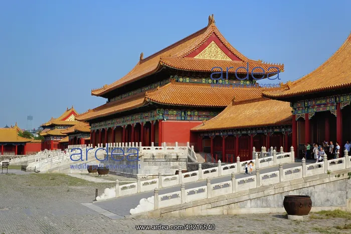 : Architecture of the Forbidden City, Beijing : Architecture of the Forbidden City, Beijing