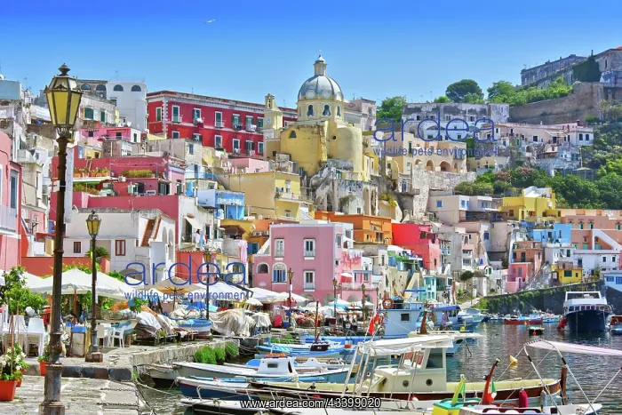 : Architecture of Procida Island a comune of the Metropolitan : Architecture of Procida Island a comune of the Metropolitan