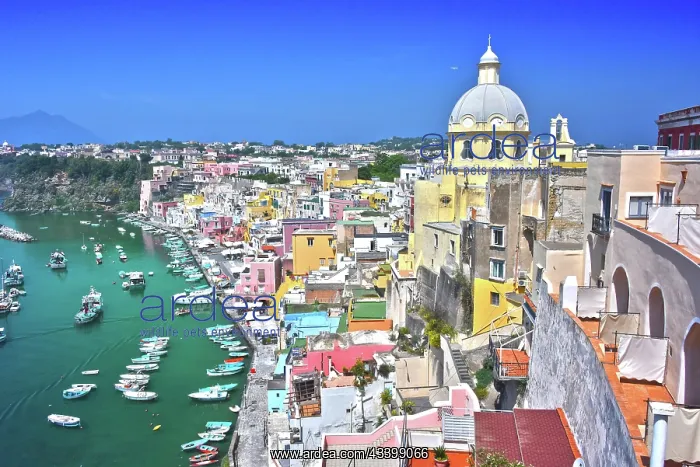 : Architecture of Procida Island a comune of the Metropolitan : Architecture of Procida Island a comune of the Metropolitan