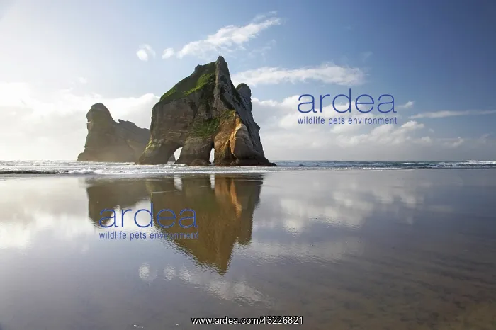 : Archway Islands Reflected in Wet Sands of : Archway Islands Reflected in Wet Sands of