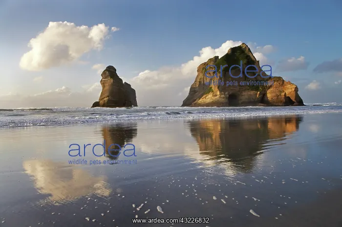: Archway Islands Reflected in Wet Sands of : Archway Islands Reflected in Wet Sands of