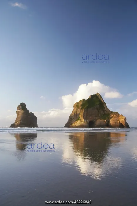 : Archway Islands Reflected in Wet Sands of : Archway Islands Reflected in Wet Sands of