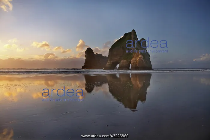  : Archway Islands Reflected in Wet Sands of