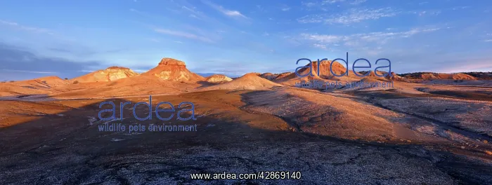 : Arckaringa Hills / Painted Desert - North of Coober : Arckaringa Hills / Painted Desert - North of Coober