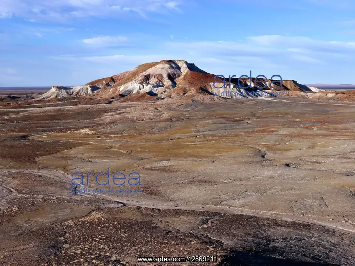 : Arckaringa Hills / Painted Desert - North of Coober : Arckaringa Hills / Painted Desert - North of Coober