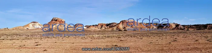 : Arckaringa Hills / Painted Desert - North of Coober : Arckaringa Hills / Painted Desert - North of Coober